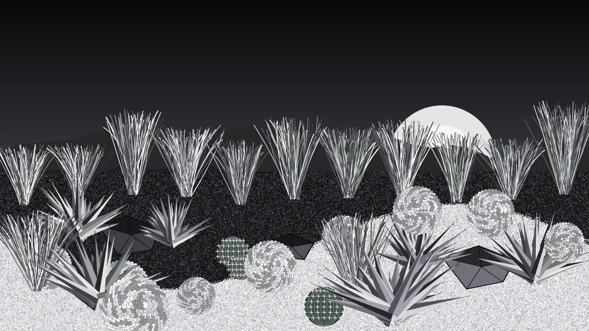 Water-Wise Gardens for the High Desert